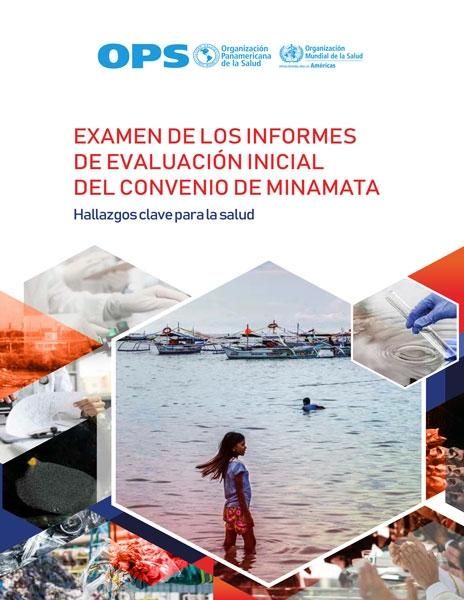 Produktbild: Examen de los informes de evaluaci&oacute;n inicial del Convenio de Minamata