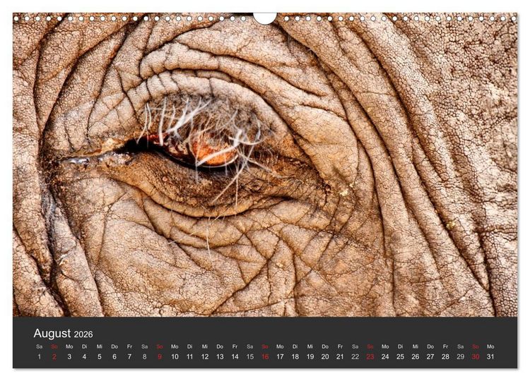 Produktbild: Elefanten - Graue Riesen (Wandkalender 2026 DIN A3 quer), CALVENDO Monatskalender