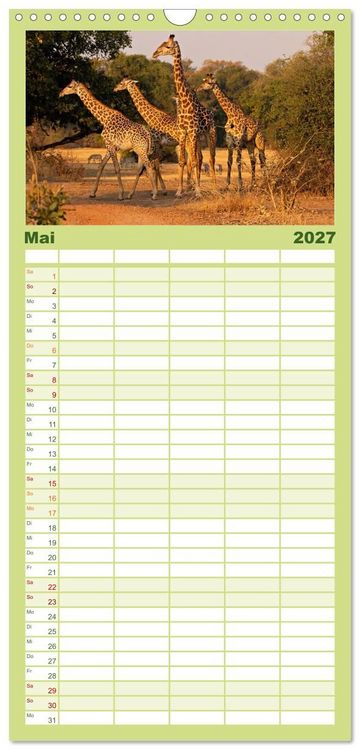 Produktbild: Familienplaner 2027 - Sambias gro&szlig;artige Tierwelt mit 5 Spalten (Wandkalender, 21 x 45 cm) CALVENDO