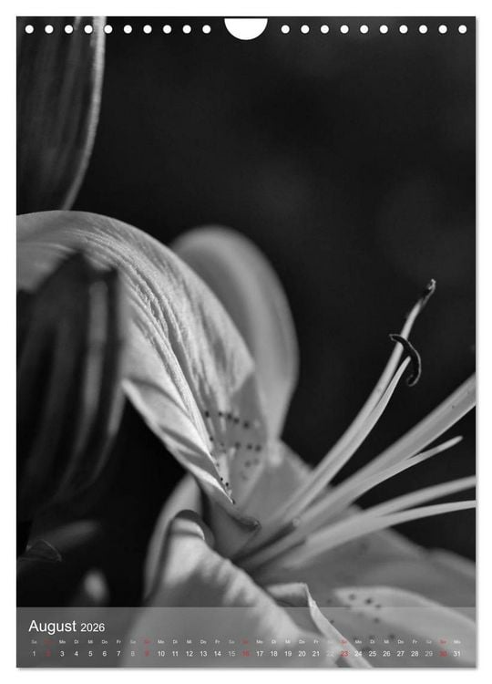 Produktbild: Monochrome Bl&uuml;ten - In Schwarz-Wei&szlig; Bildern durch das Jahr (Wandkalender 2026 DIN A4 hoch), CALVENDO Monatskalender