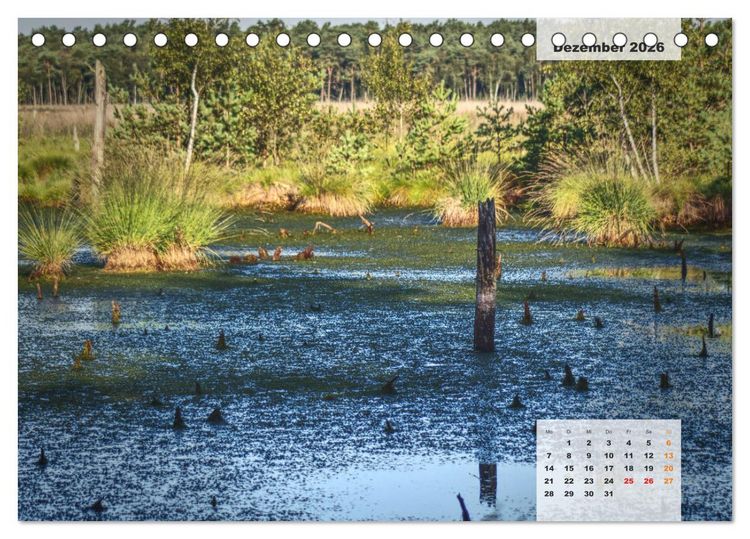 Produktbild: Niedersachsens Moorlandschaften - Das Pietzmoor, Schneverdingen (Tischkalender 2026 DIN A5 quer), CALVENDO Monatskalender