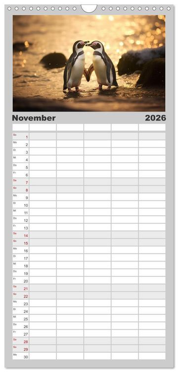 Produktbild: Familienplaner 2026 - Unzertennlich mit 5 Spalten (Wandkalender, 21 x 45 cm) CALVENDO