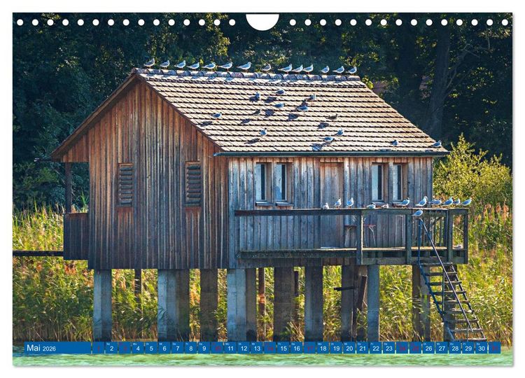 Produktbild: Drei L&auml;nder ein See - Bodensee (Wandkalender 2026 DIN A4 quer), CALVENDO Monatskalender