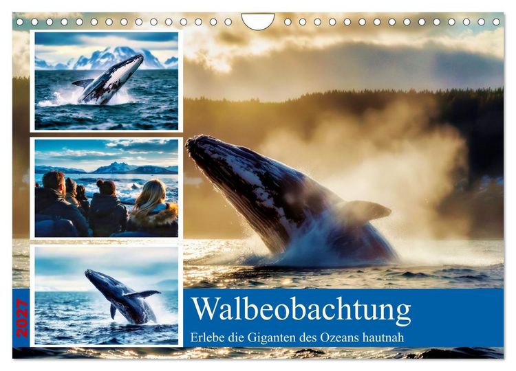 Produktbild: Whale Watching (Wandkalender 2027 DIN A4 quer), CALVENDO Monatskalender