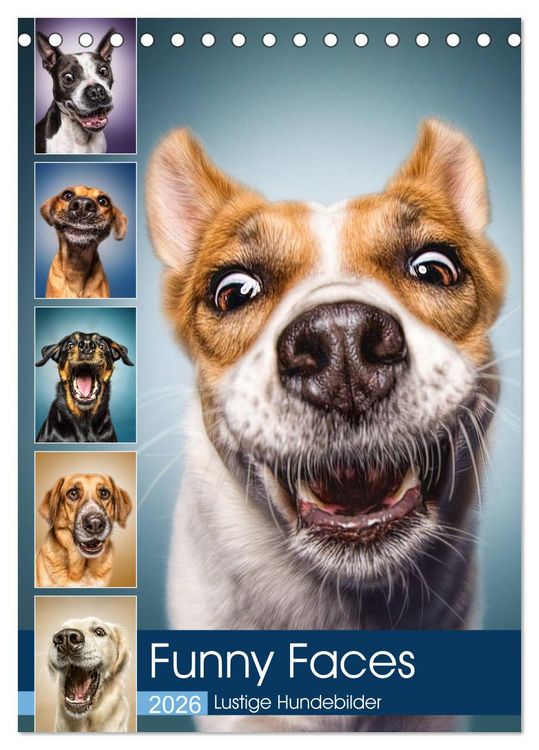 Produktbild: Funny Faces - Lustige Hundebilder (Tischkalender 2026 DIN A5 hoch), CALVENDO Monatskalender