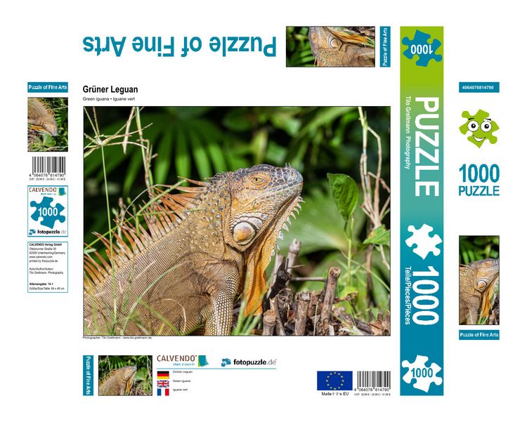 Produktbild: CALVENDO Puzzle Gr&uuml;ner Leguan | 1000 Teile Lege-Gr&ouml;&szlig;e 64x48cm Foto-Puzzle f&uuml;r gl&uuml;ckliche Stunden
