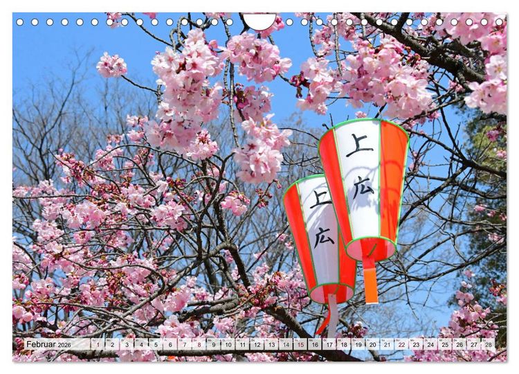 Produktbild: Die Kirschbl&uuml;te in Japan (Wandkalender 2026 DIN A4 quer), CALVENDO Monatskalender