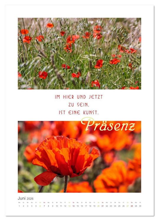 Produktbild: Quellen der Inspiration (Wandkalender 2026 DIN A3 hoch), CALVENDO Monatskalender
