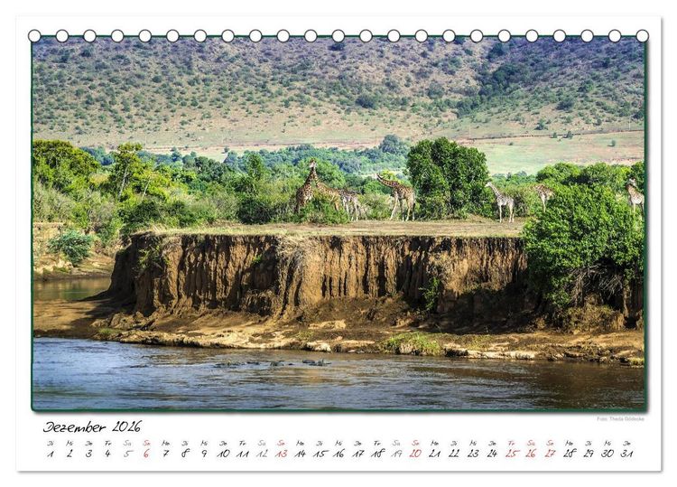 Produktbild: Abenteuer Masai Mara (Tischkalender 2026 DIN A5 quer), CALVENDO Monatskalender