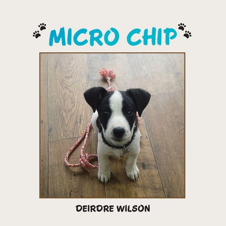 Produktbild: Micro Chip