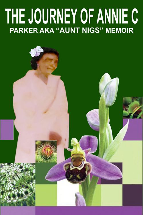 Produktbild: The Journey of Annie C. Parker AKA "Aunt Nigs" Memoir