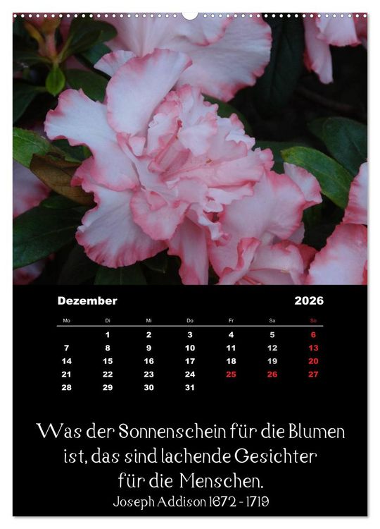 Produktbild: Spr&uuml;che und Zitate ber&uuml;hmter Personen &uuml;ber Blumen und Natur (Wandkalender 2026 DIN A2 hoch), CALVENDO Monatskalender