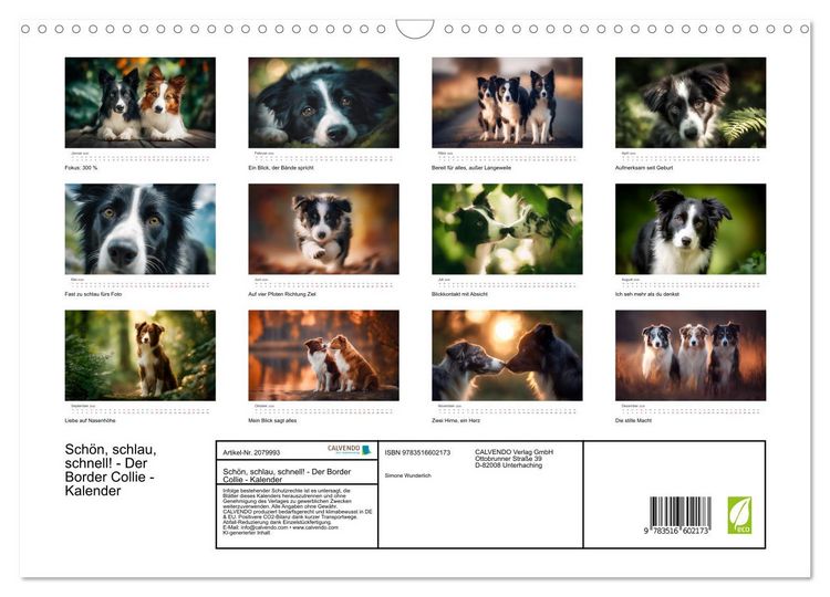 Produktbild: Sch&ouml;n, schlau, schnell! - Der Border Collie - Kalender (Wandkalender 2026 DIN A3 quer), CALVENDO Monatskalender