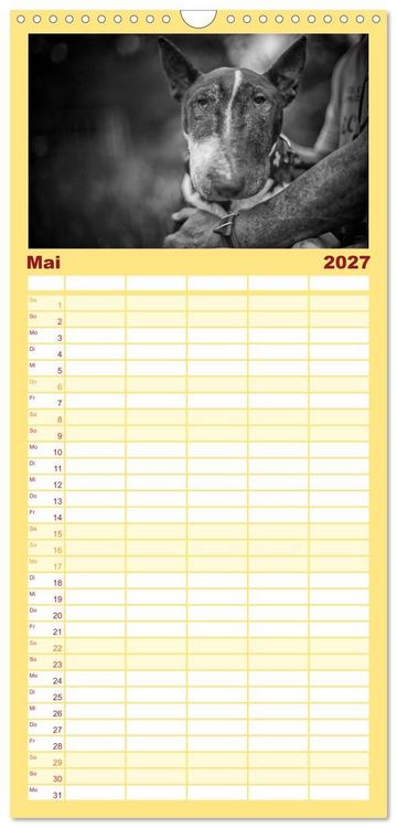 Produktbild: Familienplaner 2027 - Bullterrier mit 5 Spalten (Wandkalender, 21 x 45 cm) CALVENDO