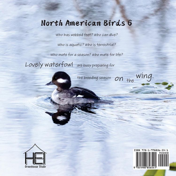 Produktbild: On the Wing - North American Birds 6