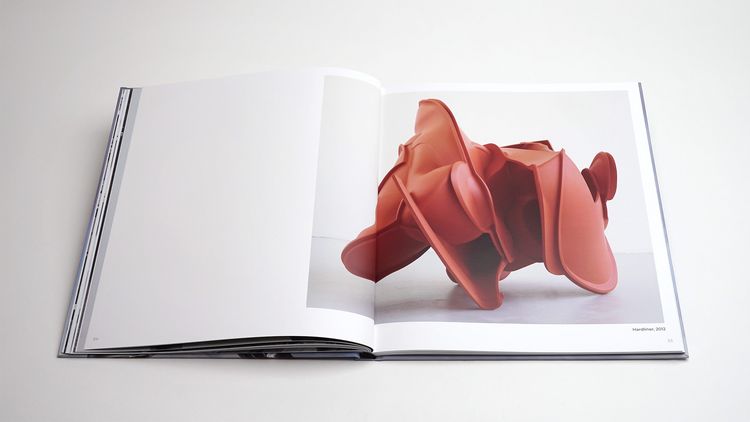 Produktbild: Tony Cragg: Points of View
