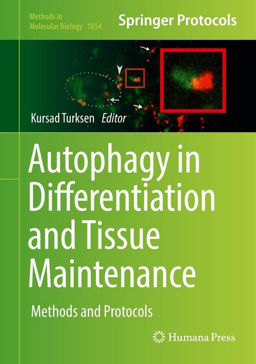 Produktbild: Autophagy in Differentiation and Tissue Maintenance