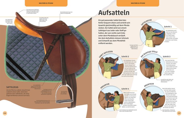 Produktbild: Pferde und Ponys