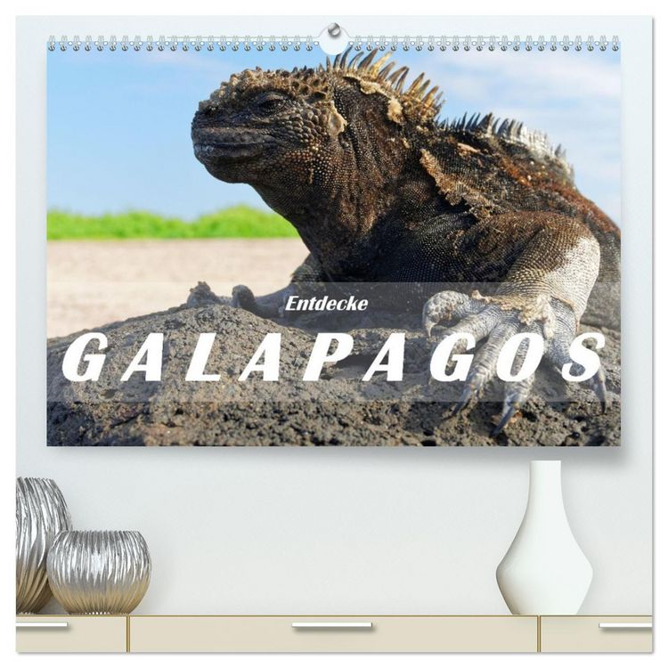 Produktbild: Entdecke Galapagos (hochwertiger Premium Wandkalender 2026 DIN A2 quer), Kunstdruck in Hochglanz