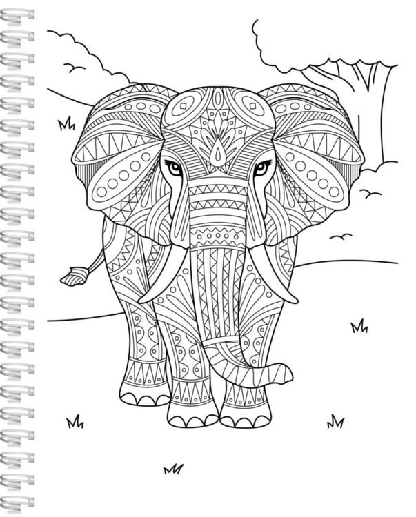 Produktbild: Mein Tierisches Mandala Malbuch