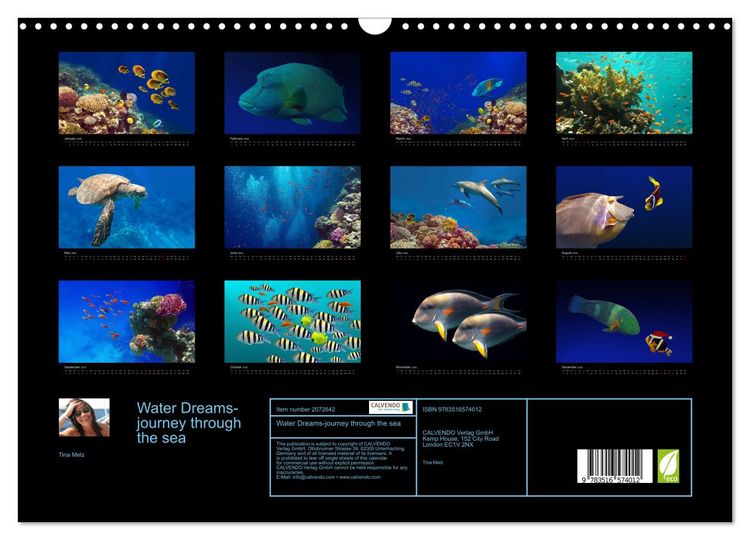 Produktbild: Water Dreams-journey through the sea (Wall Calendar 2026 DIN A3 landscape), CALVENDO 12 Month Wall Calendar