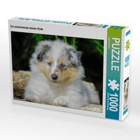 Produktbild: CALVENDO Puzzle Ein entz&uuml;ckender kleiner R&uuml;de | 1000 Teile Lege-Gr&ouml;&szlig;e 64x48cm Foto-Puzzle f&uuml;r gl&uuml;ckliche Stunden
