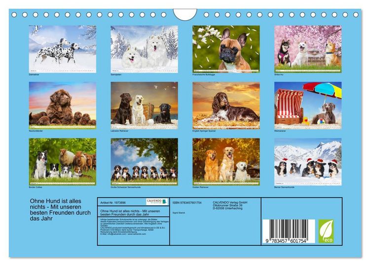 Produktbild: Ohne Hund ist alles nichts - Mit unseren besten Freunden durch das Jahr (Wandkalender 2026 DIN A4 quer), CALVENDO Monatskalender