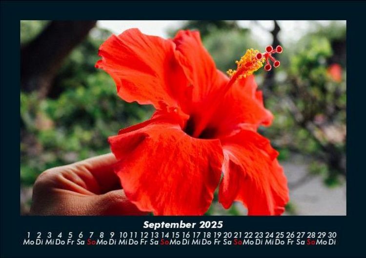 Produktbild: Blumentr&auml;ume 2025 Fotokalender DIN A5