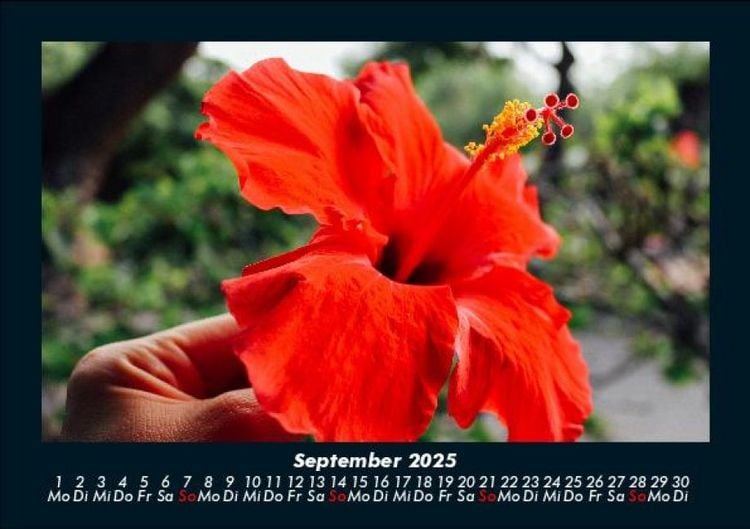 Produktbild: Blumentr&auml;ume 2025 Fotokalender DIN A5