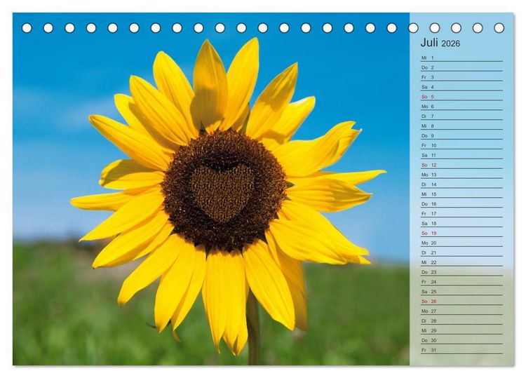 Produktbild: Tage von Herzen (Tischkalender 2026 DIN A5 quer), CALVENDO Monatskalender