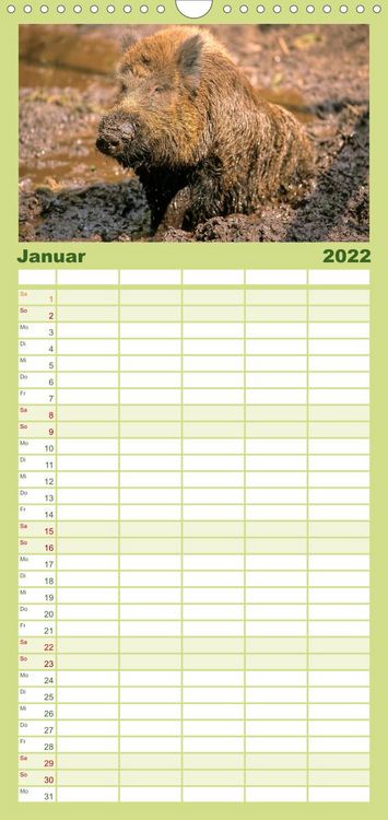 Produktbild: Familienplaner Tiere des Waldes (Wandkalender 2022 , 21 cm x 45 cm, hoch)