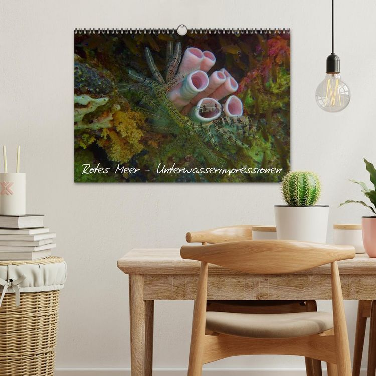 Produktbild: Rotes Meer - Unterwasserimpressionen (Wandkalender 2026 DIN A3 quer), CALVENDO Monatskalender