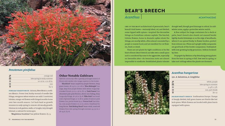 Produktbild: Perennials for the Midwest