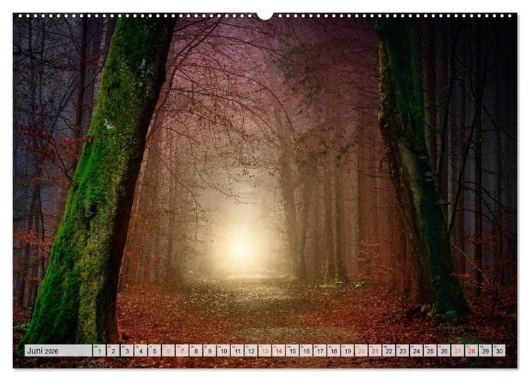 Produktbild: Wald - mystische Spazierg&auml;nge (Wandkalender 2026 DIN A2 quer), CALVENDO Monatskalender