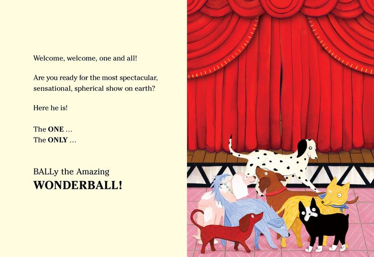 Produktbild: Bally the Amazing Wonderball