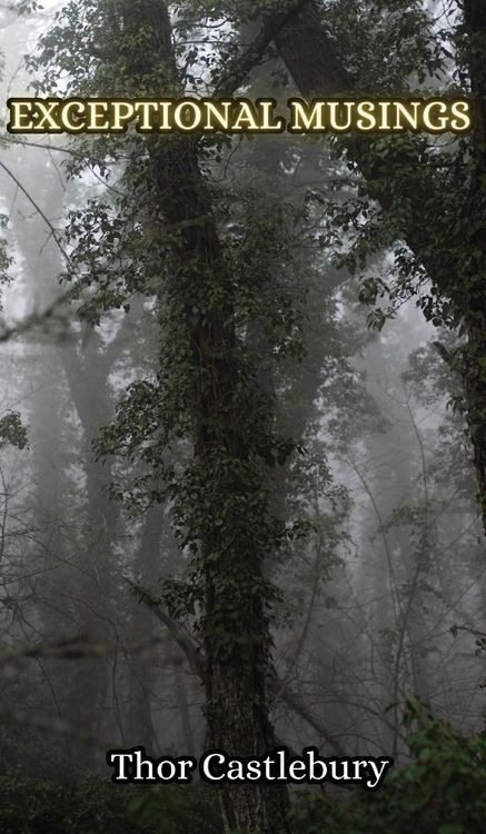 Produktbild: Exceptional Musings
