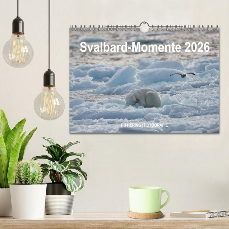 Produktbild: Svalbard-Momente (Wandkalender 2026 DIN A4 quer), CALVENDO Monatskalender