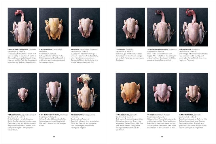 Produktbild: Huhn & Hähnchen