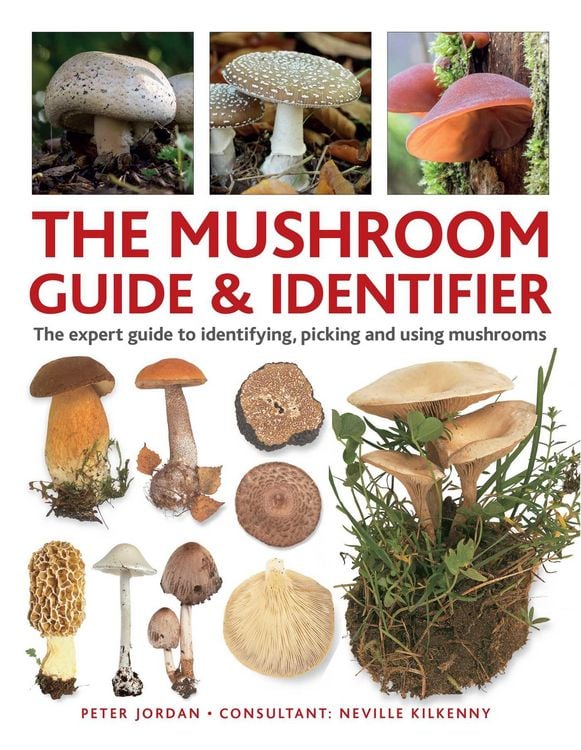 Produktbild: The Mushroom Guide & Identifer