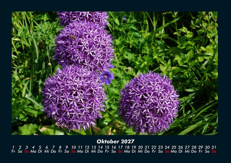 Produktbild: Blumenkalender 2027 Fotokalender DIN A4