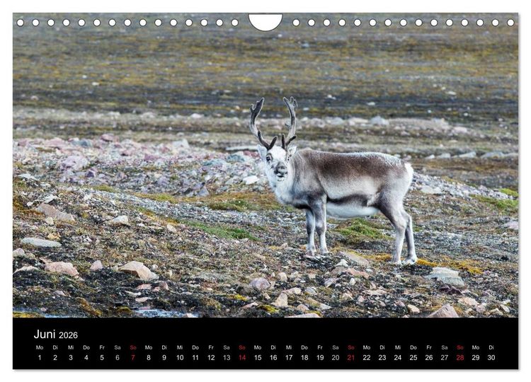 Produktbild: TRAUMZIEL ARKTIS, Impressionen vom Rand der Welt (Wandkalender 2026 DIN A4 quer), CALVENDO Monatskalender