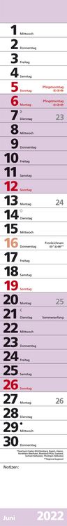 Produktbild: Streifenplaner Colour 2022