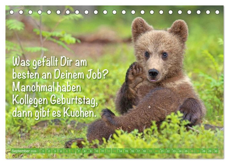Produktbild: Spa&szlig; mit B&auml;ren: Edition lustige Tiere (Tischkalender 2026 DIN A5 quer), CALVENDO Monatskalender