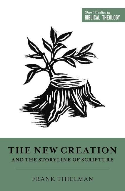 Produktbild: The New Creation and the Storyline of Scripture