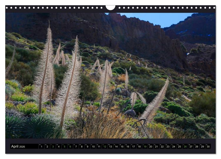 Produktbild: wildes Teneriffa (Wandkalender 2026 DIN A3 quer), CALVENDO Monatskalender