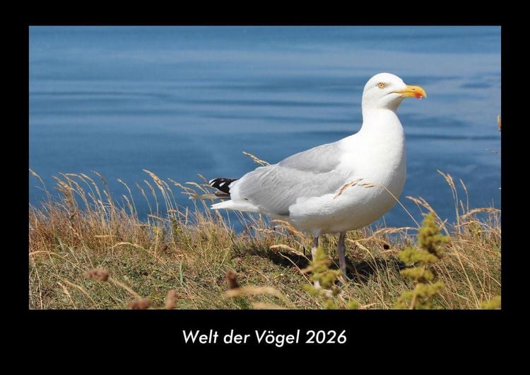 Produktbild: Welt der V&ouml;gel 2026 Fotokalender DIN A3