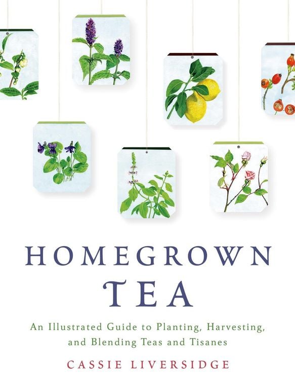 Produktbild: Homegrown Tea