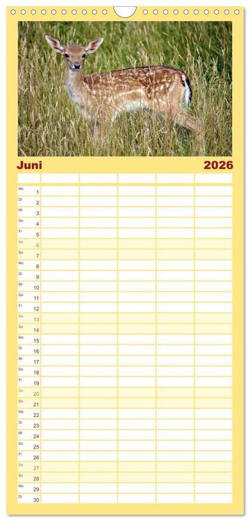 Produktbild: Familienplaner 2026 - Nachwuchs in der Tierwelt mit 5 Spalten (Wandkalender, 21 x 45 cm) CALVENDO