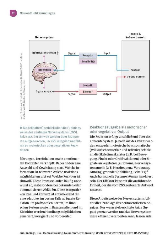 Produktbild: Medical Training: Neurozentriertes Training