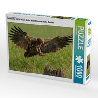 Produktbild: CALVENDO Puzzle Heimische GREIFV&Ouml;GEL Adler Milan Bussard Weihe Sperber 1000 Teile Lege-Gr&ouml;&szlig;e 640 x 480 cm Foto-Puzzle Bild von Arne W&uuml;nsche